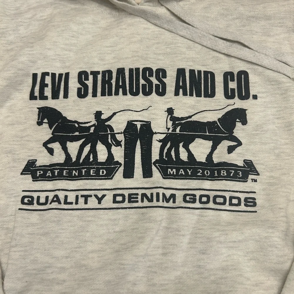 Levi Strauss and Co Men’s Hoodie (Unisex)
